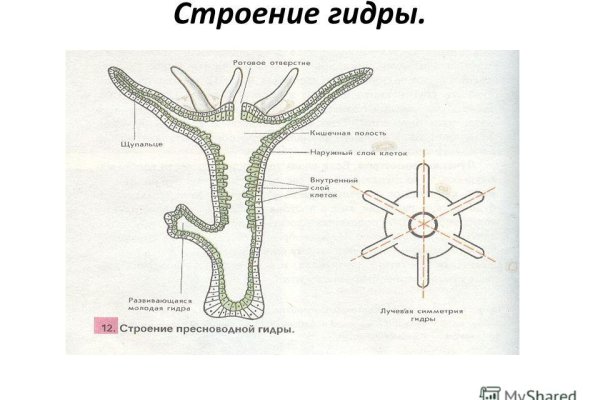 Сайты с наркотой