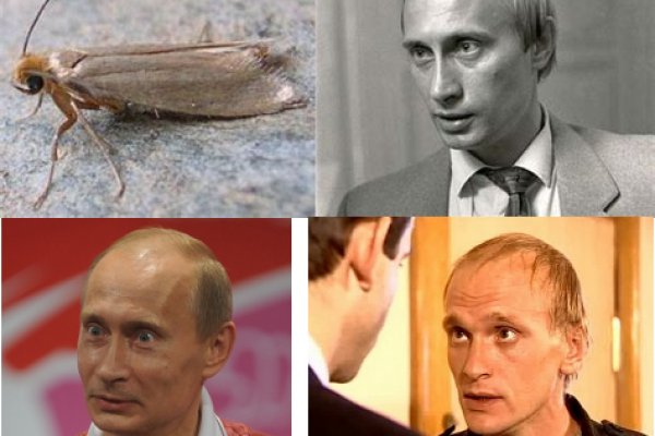 Замена гидры