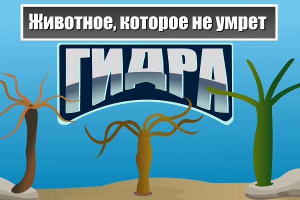 Ссылка кракен cc