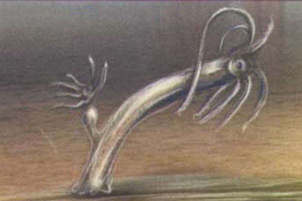 Kraken адрес onion